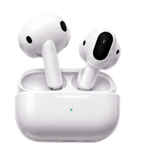 Earphones
