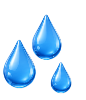 Water Damage Repair
